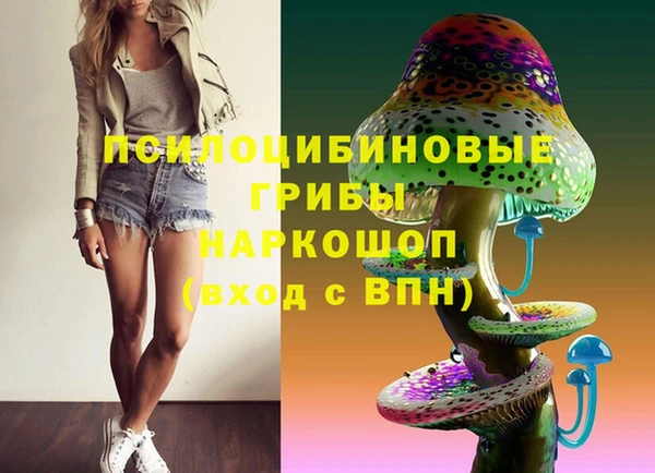 шишки Алексеевка