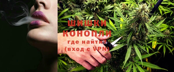 шишки Алексеевка