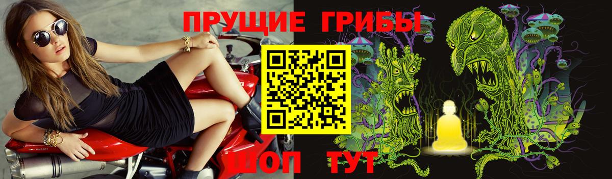 Лабинск  Псилоцибиновые грибы прущие грибы  Вход с VPN 